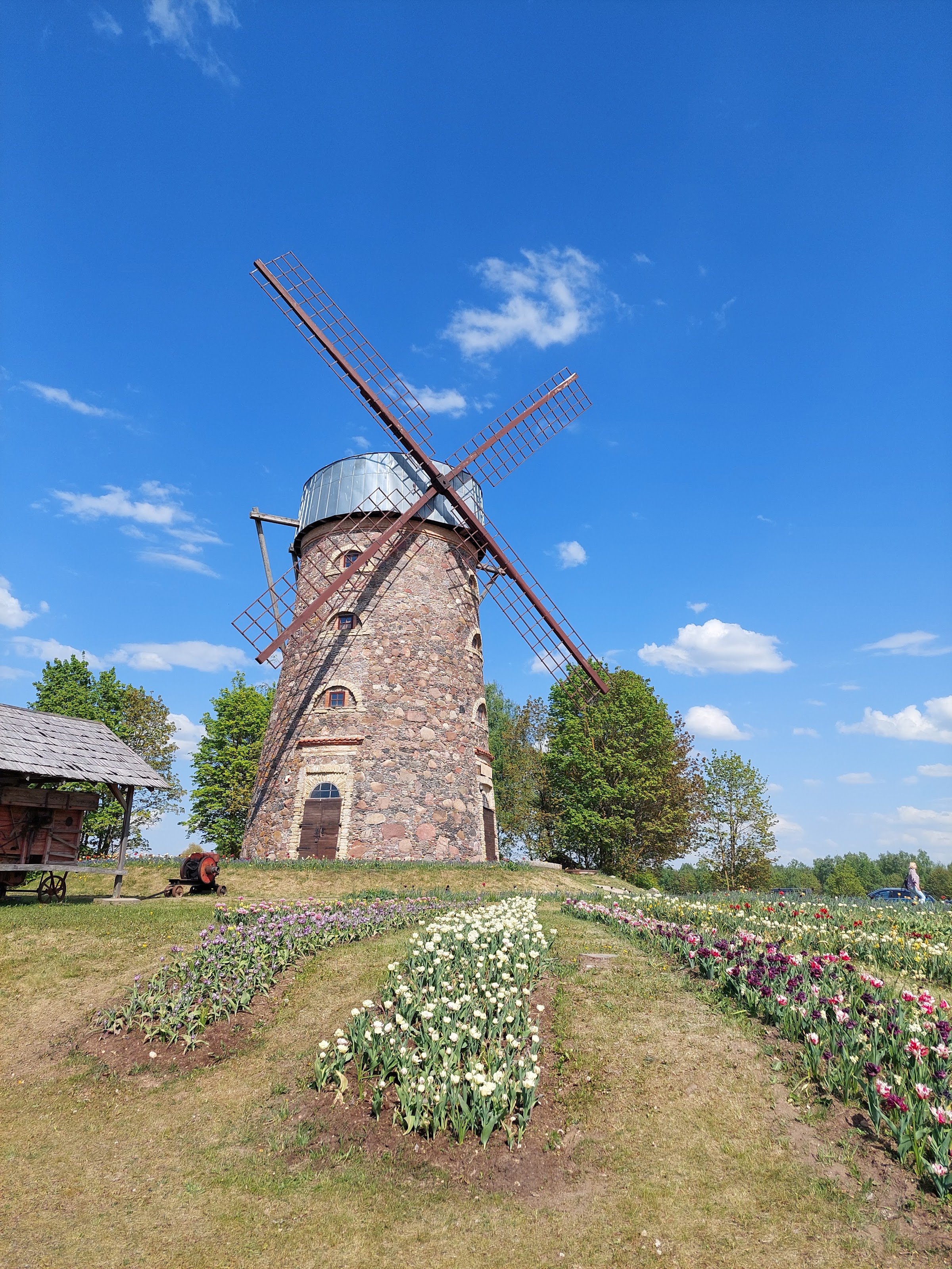 Pakruojo dvaras (Pakruojis Manor)